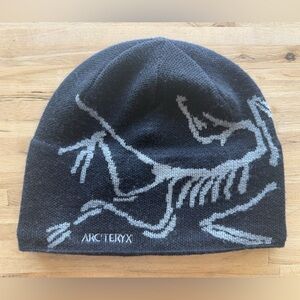 Arc'teryx Bird Head Toque
Black/Void